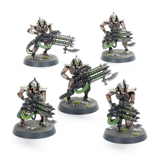 Necrons Immortals